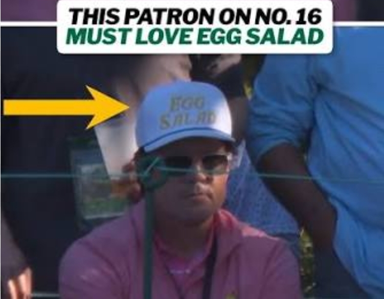 egg image hat Read full case study